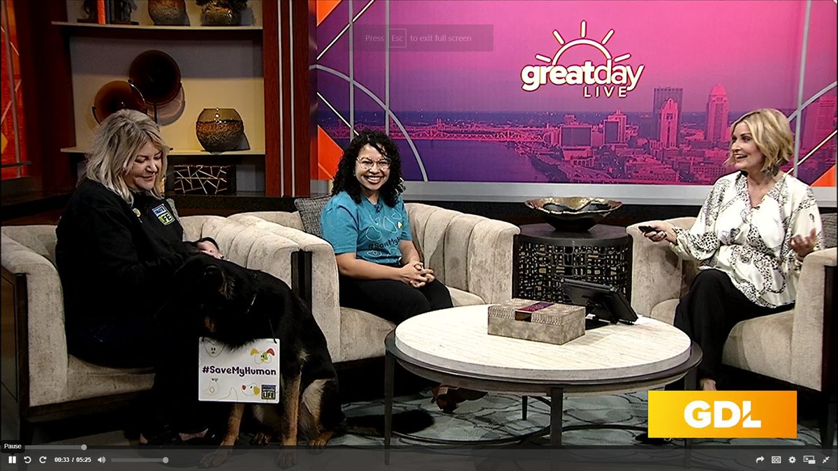 Crysta on Great Day Live for Save My Human